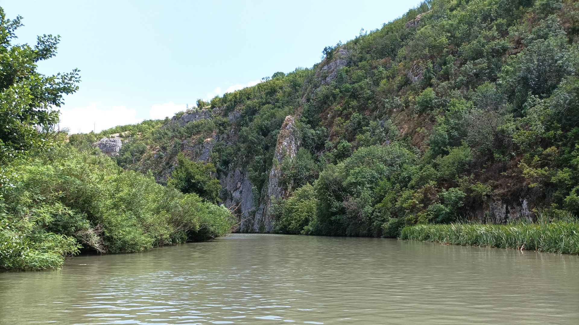 Златна Панега